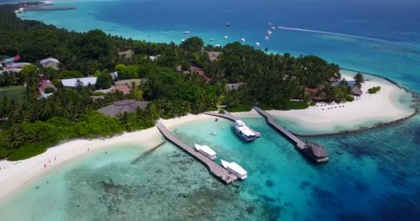 Resort Luxo Ilha Partir Vista Superior Cena Férias Verão Nas — Vídeo de Stock