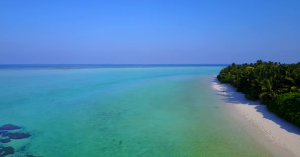 Luminosa Isla Bordeada Tortugas Marinas Vacaciones Tropicales Bahamas Caribe — Vídeo de stock