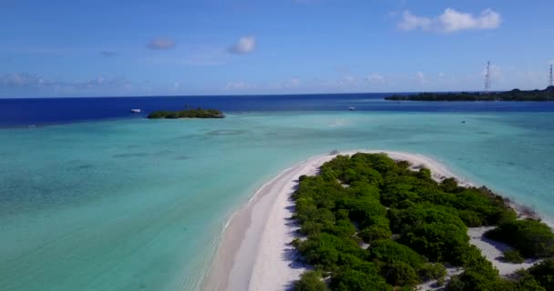 Yaz Sıcağında Adanın Kıyı Şeridi Barbados Karayiplerin Güneşli Doğası — Stok video