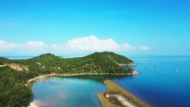 Vista Verão Para Paisagem Marinha Natureza Ensolarada Barbados Caribe — Vídeo de Stock