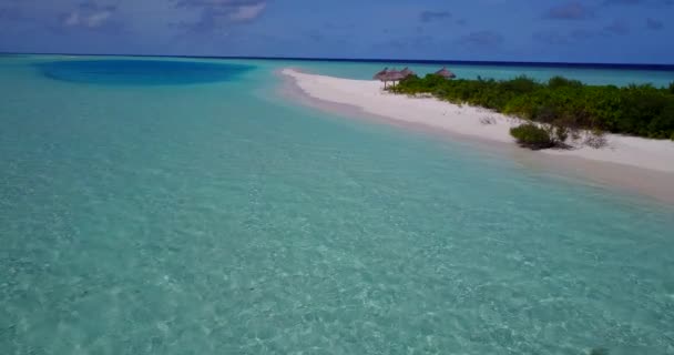 昼間は島の海岸 ドミニカ共和国 カリブ海の自然 — ストック動画