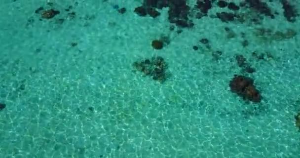 Mit Blick Auf Plätscherndes Wasser Sommerentspannung Bora Bora Französisch Polynesien — Stockvideo