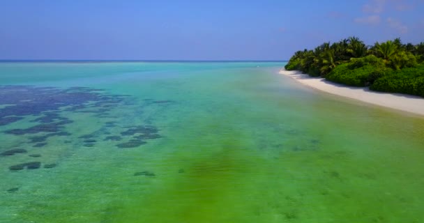 Adadaki Yeşil Sığ Bali Nin Doğal Arka Planı — Stok video
