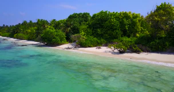 Остров Парадизе Чистой Водой Летняя Поездка Доминиканскую Республику Карибский Бассейн — стоковое видео