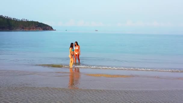 Deux Jeunes Amies Bikini Marchant Dans Eau Mer Belles Femmes — Video