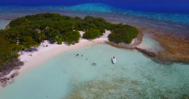 海滨之旅 巴厘岛的夏季放松 — 图库视频影像