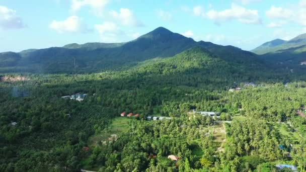Zöld Fákkal Borított Hegyek Felett Repülve Trópusi Utazás Balira Indonéziába — Stock videók
