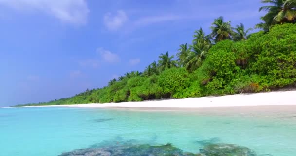 Lebendiges Türkisfarbenes Meer Säumt Die Tropische Insel Natur Genießen Der — Stockvideo