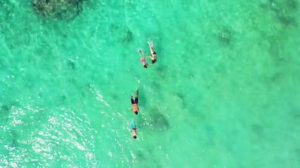 Turyści Cieszący Się Przejrzystym Zielonym Morzem Scena Przyrodnicza Jamajki Karaiby — Wideo stockowe