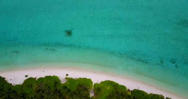 島の海岸線の無人機からのトップビュー ドミニカ共和国の夏の風景 — ストック動画