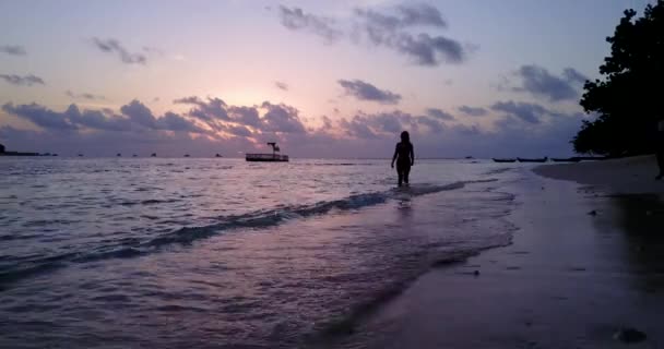 Imágenes Siluetas Chica Caminando Playa Por Noche — Vídeos de Stock