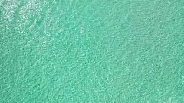 Karayip Denizleri Derin Mavi Sularla Dalgalanır Yüzey Şeffaf Plajı — Stok video