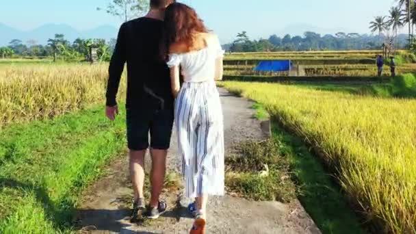 田んぼを歩いている夫婦の映像です — ストック動画