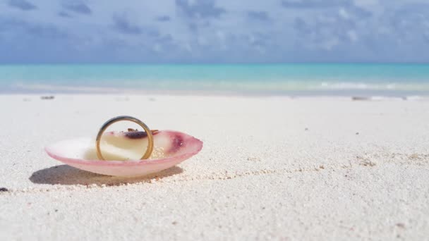 海辺に結婚指輪を持つ貝殻 カリブ海のバルバドスへの旅行 — ストック動画