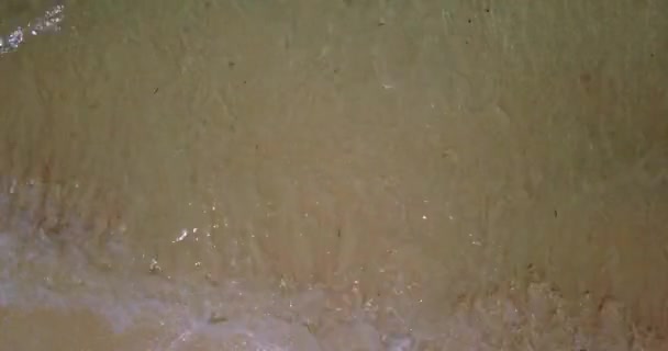 Шорелін Прозорими Хвилями Природа Домініканської Республіки Карибське Море — стокове відео