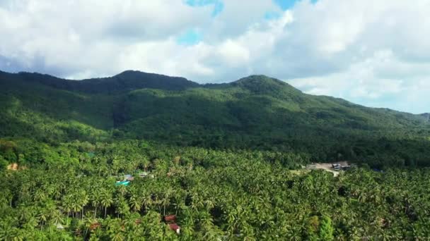 Vue Sur Les Montagnes Verdoyantes Vacances Tropicales Aux Bahamas Caraïbes — Video