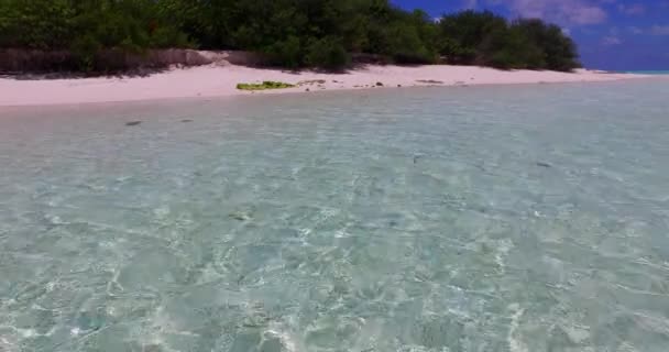 浅い水で海岸線 アンティグアへの夏の旅行 — ストック動画