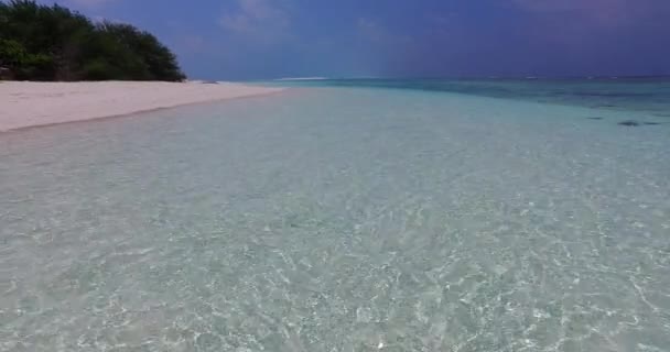 Genomskinligt Grunt Vatten Vid Kusten Tropisk Natur Scen Jamaica Västindien — Stockvideo