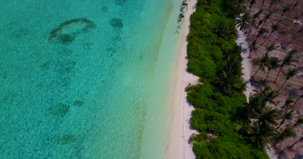 Lecący Nad Tropikalnym Wybrzeżem Letnia Wycieczka Dominikany Karaibów — Wideo stockowe