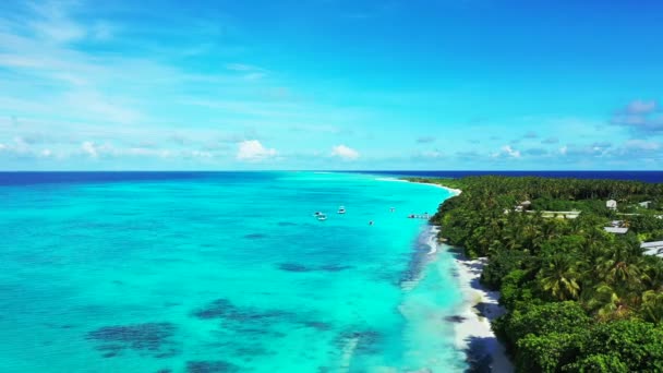 Türkisfarbene Meereslandschaft Und Paradiesischer Inselhintergrund Naturszene Jamaikas Karibik — Stockvideo