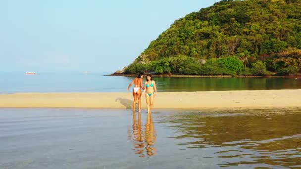 Twee Jonge Vriendinnen Bikini Rustend Het Water Aan Zeekust Mooie — Stockvideo