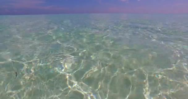 透明的波纹海水 马尔代夫 南亚的夏季风景 — 图库视频影像