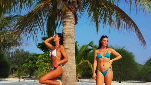 两个穿着比基尼的年轻女友站在棕榈树下的沙滩海岸上 晒日光浴 聊着天 美丽的女人在热带度假胜地休息 — 图库视频影像