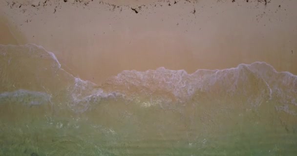 Şeffaf Berrak Suyu Olan Kıyı Şeridi Endonezya Bali Deki Doğa — Stok video