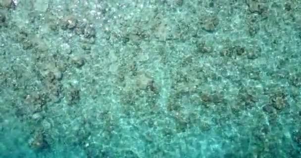 Vista Superior Agua Mar Transparente Paraíso Tropical Bora Bora Polinesia — Vídeos de Stock