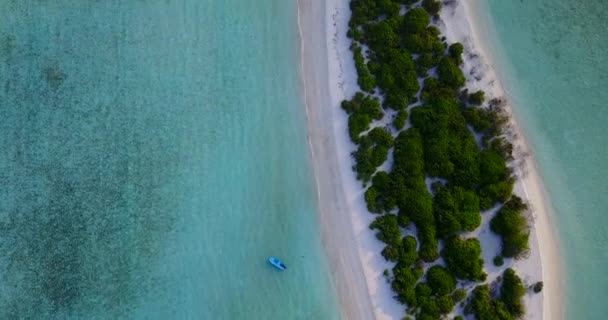 Video Dell Isola Tropicale Con Spiaggia Sabbia Bianca Palme Acqua — Video Stock