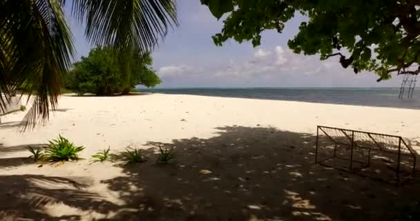 Unter Palmen Strand Stehend Sommerentspannung Bora Bora Französisch Polynesien — Stockvideo