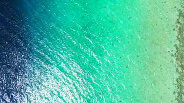 바닷물이 물결치는 자연적 카리브해의 바베이도스로 이국적 — 비디오