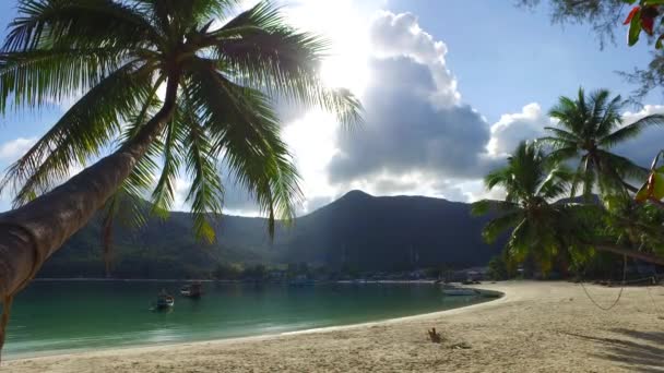 Slunečný Výhled Pobřeží Bahamská Idylická Scéna Karibik — Stock video