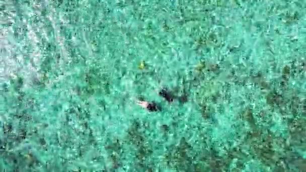 Turyści Nurkują Turkusowej Wodzie Letni Krajobraz Morski Malediwach Azja Południowa — Wideo stockowe