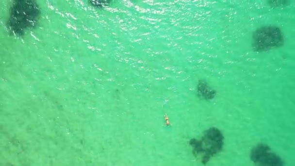 Touristen Schwimmen Grünen Transparenten Wasser Sommerliche Landschaft Der Malediven — Stockvideo