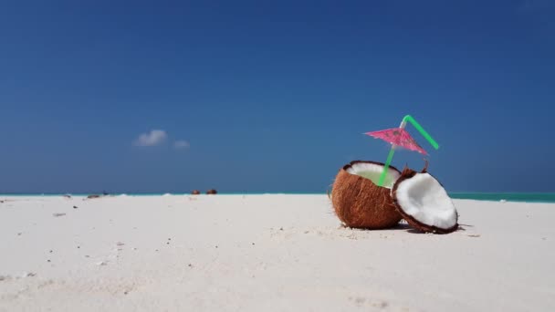Napój Kokosowy Słomką Plaży Egzotyczny Charakter Dominikany Karaibów — Wideo stockowe