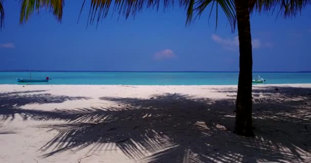 Caminar Bajo Palmeras Sombras Playa Vacaciones Samui Tailandia — Vídeos de Stock