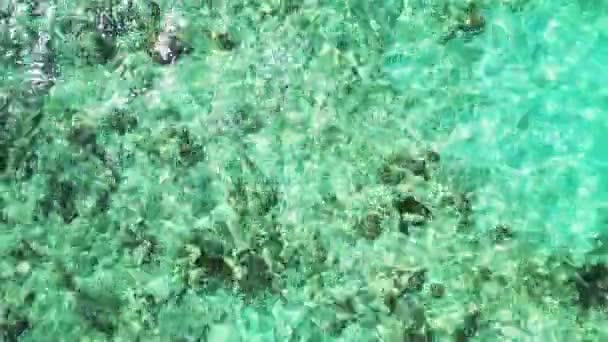 Flaches Meerwasser Mit Steinen Boden — Stockvideo