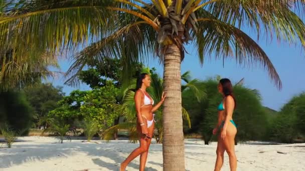 Két Fiatal Lány Barát Bikiniben Áll Homokos Tengerparton Pálmafa Alatt — Stock videók