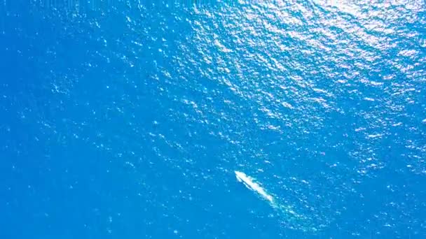 平静的背景在波涛汹涌的海面上 巴巴多斯 加勒比的阳光性质 — 图库视频影像