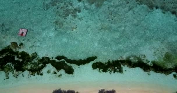 Kıyıdaki Deniz Yosunlarının Üst Görüntüsü Endonezya Bali Nin Idyllic Doğası — Stok video