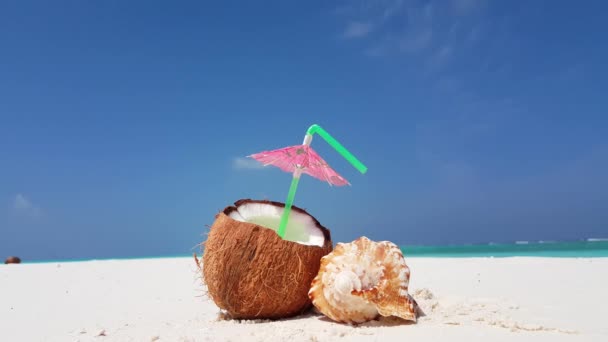 Cóctel Coco Con Concha Marina Naturaleza Tropical Bali — Vídeos de Stock