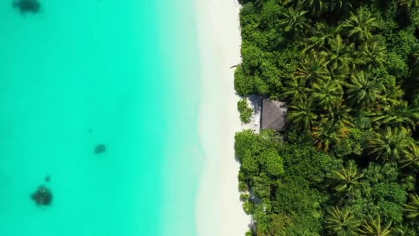 Kustlinjen Till Paradisön Bahamas Karibiens Tropiska Natur — Stockvideo