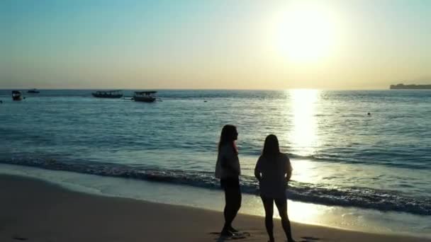 Belas Mulheres Jovens Praia Tropical — Vídeo de Stock