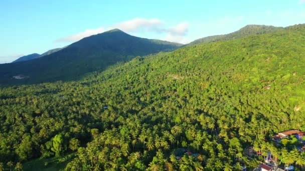 Côté Mer Avec Des Montagnes Verdoyantes Vue Panoramique Sur Paysage — Video