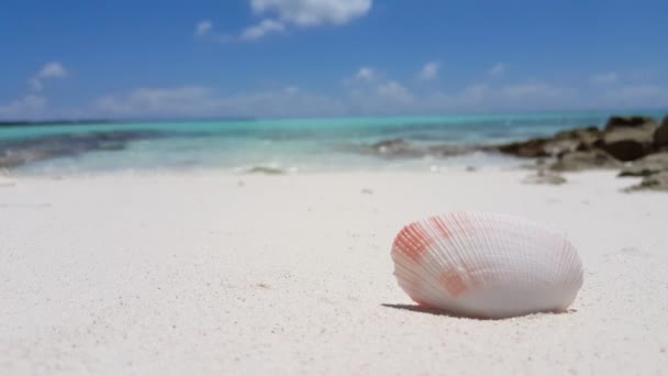 白色沙滩上的小贝壳和背景上美丽的海浪的镜头 — 图库视频影像