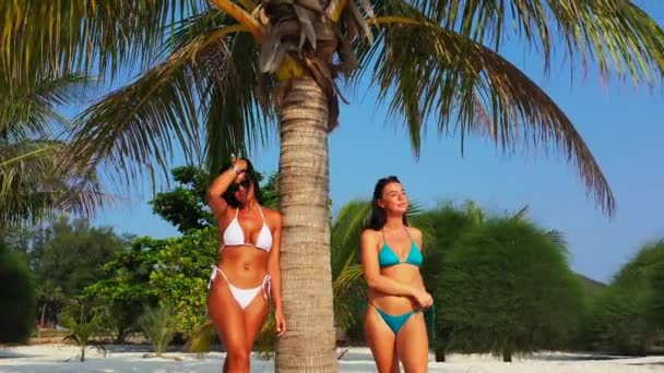两个穿着比基尼的年轻女友站在棕榈树和日光浴下的沙滩海岸上 美丽的女人在热带度假胜地休息 — 图库视频影像