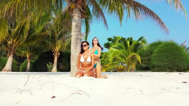 Due Giovani Amiche Bikini Sedute Sulla Costa Sabbiosa Sotto Palme — Video Stock