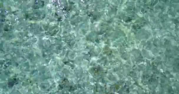 Blick Von Oben Auf Flaches Wasser Sommerszene Auf Den Bahamas — Stockvideo