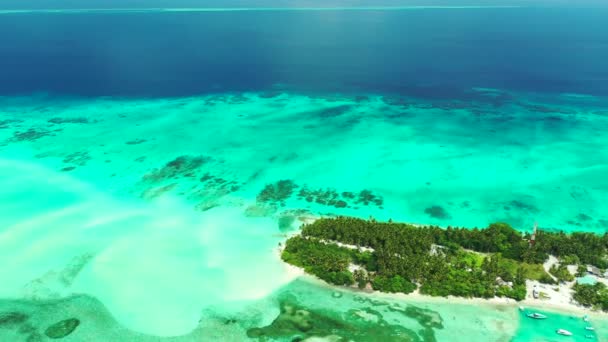 Niesamowita Zielona Wyspa Błękitną Czystą Wodą Lato Egzotyczne Wakacje Jamajce — Wideo stockowe